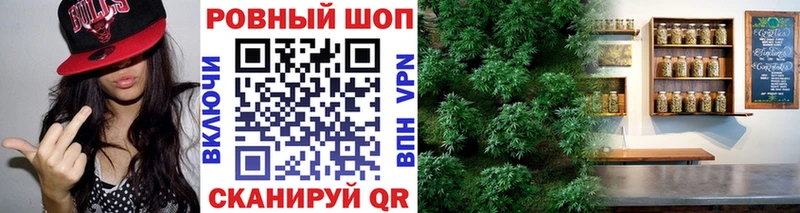 Виды наркотиков купить Вятские Поляны Псилоцибиновые грибы  МДМА  ГАШИШ  Меф  СК  АМФЕТАМИН 