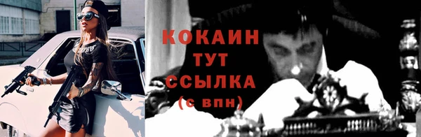 ПСИЛОЦИБИНОВЫЕ ГРИБЫ Белоозёрский