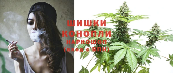 ПСИЛОЦИБИНОВЫЕ ГРИБЫ Белоозёрский