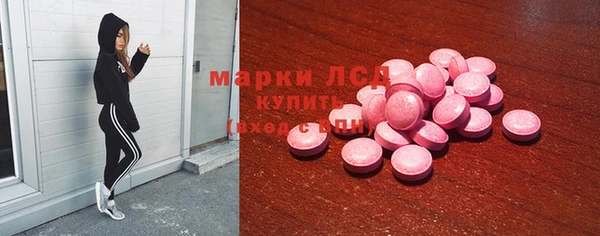 ПСИЛОЦИБИНОВЫЕ ГРИБЫ Белоозёрский